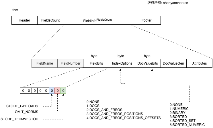 Lucene Filed info