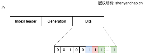 Lucene live document